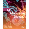 KNYGA David P Clark Molecular Biology