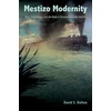 KNYGA David S Dalton Mestizo Modernity