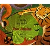 KNYGA Dawn Casey Fox Fables in Romanian and English