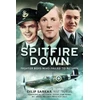 KNYGA Dilip Sarkar Spitfire Down