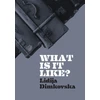 KNYGA Dimkovska What Is It Like?