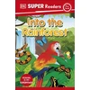 KNYGA Dk Publishing DK Super Readers Pre-Level Into the Rainforest