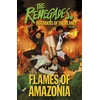 KNYGA Dk Publishing Renegades Flames of Amazonia