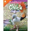 KNYGA Dona Herweck Rice Hatching a Chick