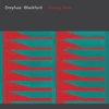 KNYGA Dreyfuss Blackford Architecture Dreyfuss + Blackford