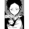 KNYGA Durarara!!, Vol. 13 (light novel)