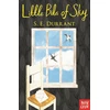 KNYGA Durrant S E Little Bits of Sky