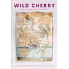KNYGA Edited by Patrick McGuinness Nigel Jenkins Wild Cherry