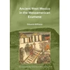 KNYGA Eduardo Williams Ancient West Mexico in the Mesoamerican Ecumene