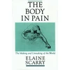 KNYGA Elaine Scarry Body in Pain