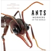 KNYGA Eleanor Spicer Rice Ants: Workers of the World