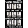 KNYGA Eli Friedlander Walter Benjamin and the Idea of Natural History