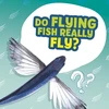 KNYGA Ellen Labrecque Do Flying Fish Really Fly?