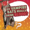 KNYGA Ellen Labrecque Do Vampire Bats Really Drink Blood?