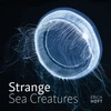 KNYGA Erich Hoyt Strange Sea Creatures