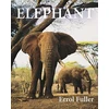 KNYGA Errol Fuller Dramblys
