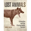 KNYGA Errol Fuller Lost Animals