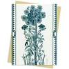 KNYGA Flame Tree Studio Annie Soudain: Summer II Greeting Card Pack