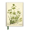 KNYGA Flame Tree Studio RBGE: Charlotte Cowan Pearson: Stitchworts, Woodruff and Pepperwort (Foiled Journal)