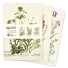 KNYGA Flame Tree Studio Royal Botanic Garden Edinburgh Set of 3 Midi Notebooks