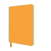 KNYGA Flame Tree Studio Sunrise Gold Artisan Notebook (Flame Tree Journals)