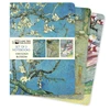KNYGA Flame Tree Studio Vincent van Gogh: Blossom Set of 3 Standard Notebooks