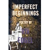 KNYGA Fogel Imperfect Beginnings
