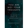 KNYGA Frances Trussell You Are Not Your Thoughts