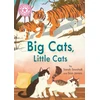 KNYGA Franklin Watts Reading Champion: Big Cats, Little Cats