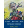 KNYGA Friedrich Frobel Where Children Grow