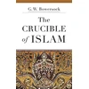 KNYGA G W Bowersock Crucible of Islam