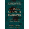 KNYGA Gabriele Santoro Beyond Growth Hacking