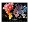 Dėlionė Galison Wendy Gold Full Bloom 1000 Piece Puzzle