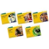 KNYGA Gill Munton Read Write Inc. Phonics: Geltona Set 5 Non-fiction books (Mixed Pack of 5)