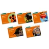KNYGA Gill Munton Read Write Inc. Phonics: Oranžinis Set 4 Non-fiction books (Mixed Pack of 5)