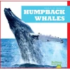 KNYGA Gleisner Humpback Whales