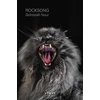 KNYGA Golnoosh Nour Rocksong