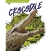 KNYGA Golriz Golkar Crocodile
