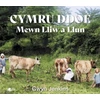 KNYGA Gwyn Jenkins Cymru Ddoe Mewn Lliw a Llun