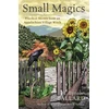 KNYGA H Byron Ballard Small Magics