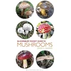 KNYGA Harris John C Pocket Guide to Mushrooms