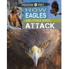 KNYGA Harris Tim Predator vs Prey: How Eagles and other Birds Attack