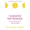 KNYGA Harry Barry Flagging the Problem