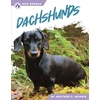 KNYGA Heather C Morris Dachshunds