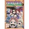 KNYGA Hiro Mashima Fairy Tail 37