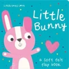 KNYGA Holly Hall Little Ones Love Little Bunny