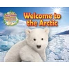 KNYGA Honor Head Welcome to the Arctic