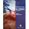 KNYGA Ian Peate Wound Care at a Glance