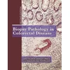KNYGA Talbot Biopsy Pathology in Colorectal Disease, 2Ed