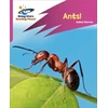 KNYGA Isabel Thomas Reading Planet: Rocket Phonics – Target Practice – Ants! – Rožinė A